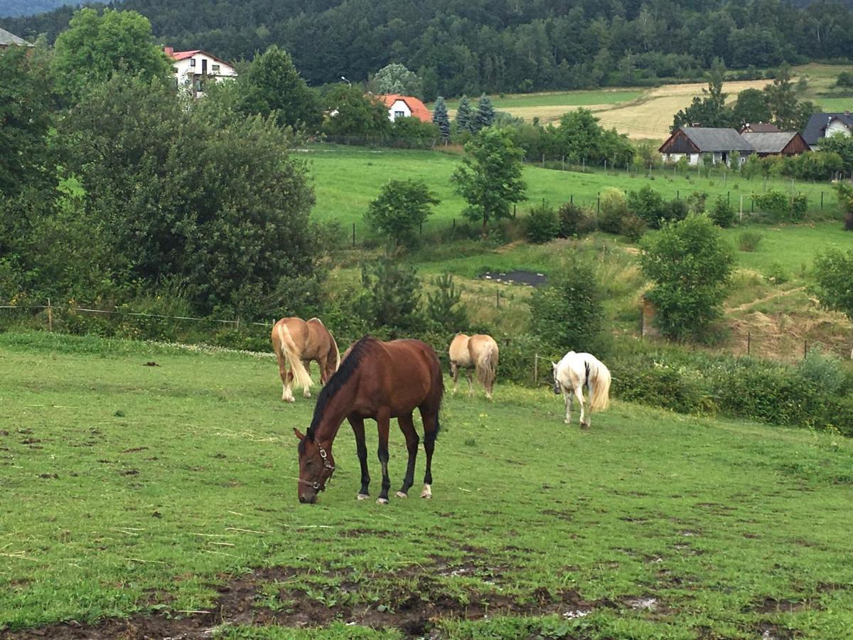 Vila Rancho-Bierna Exteriér fotografie