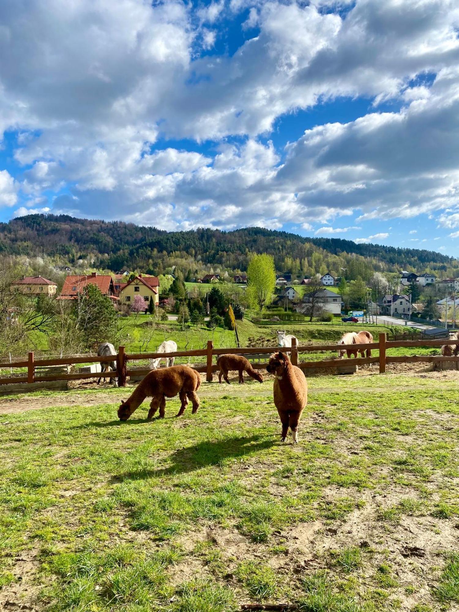 Vila Rancho-Bierna Exteriér fotografie