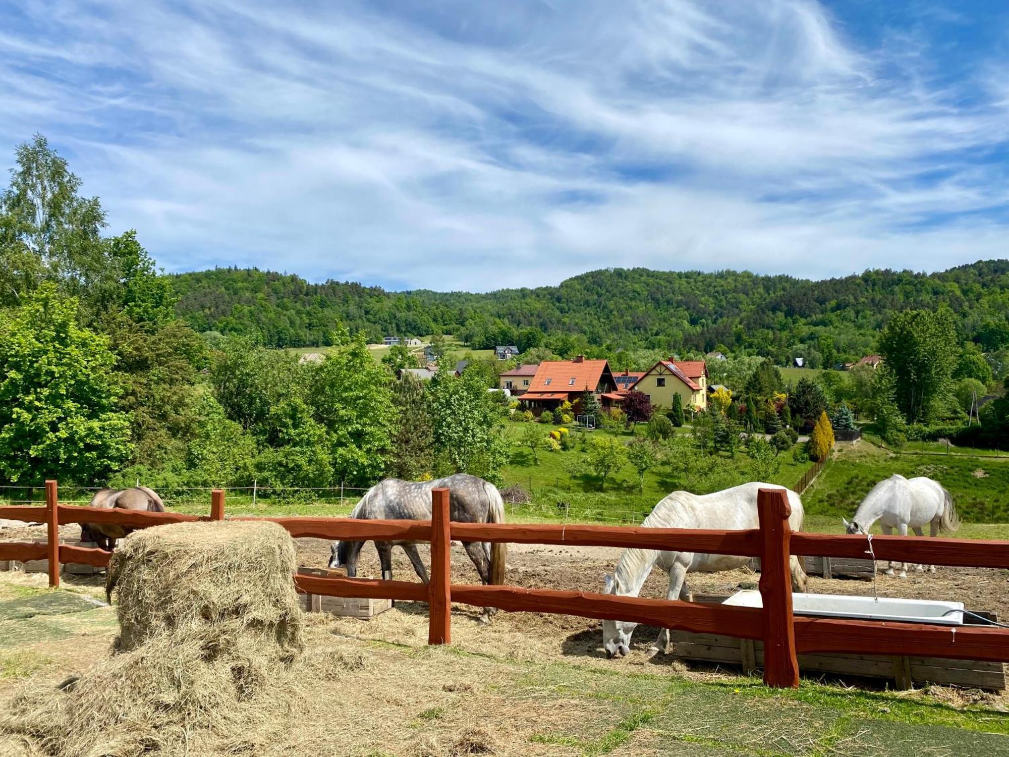 Vila Rancho-Bierna Exteriér fotografie